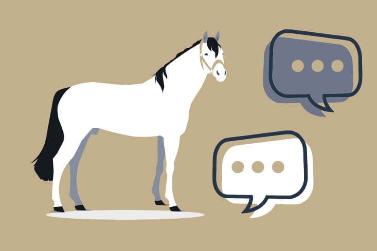 3. Accédez au fichier complet