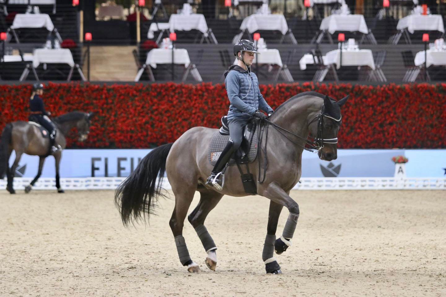 choisir la bride et utiliser la bride en dressage deux rênes
