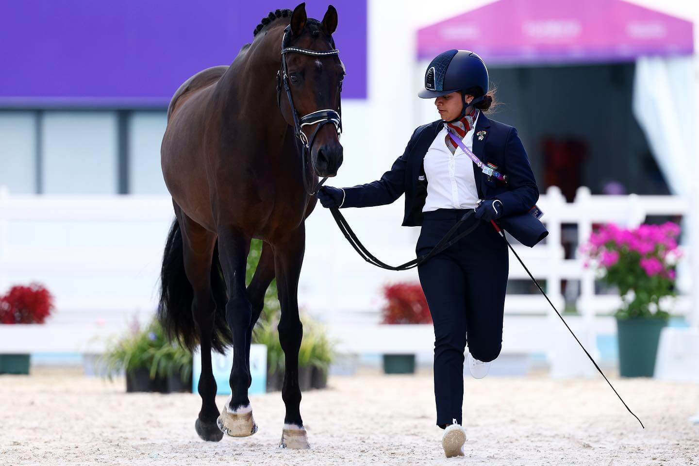 visite vétérinaire concours dressage