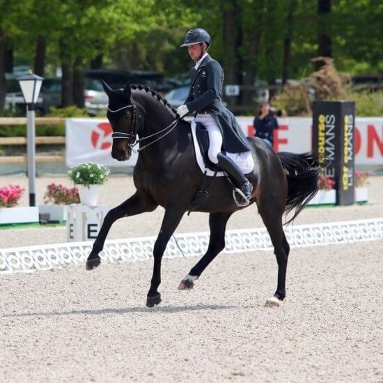 
							Nos produits favoris
							