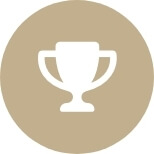 Du foal au cheval de Grand Prix