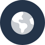 + de 90% de chevaux vendus hors France