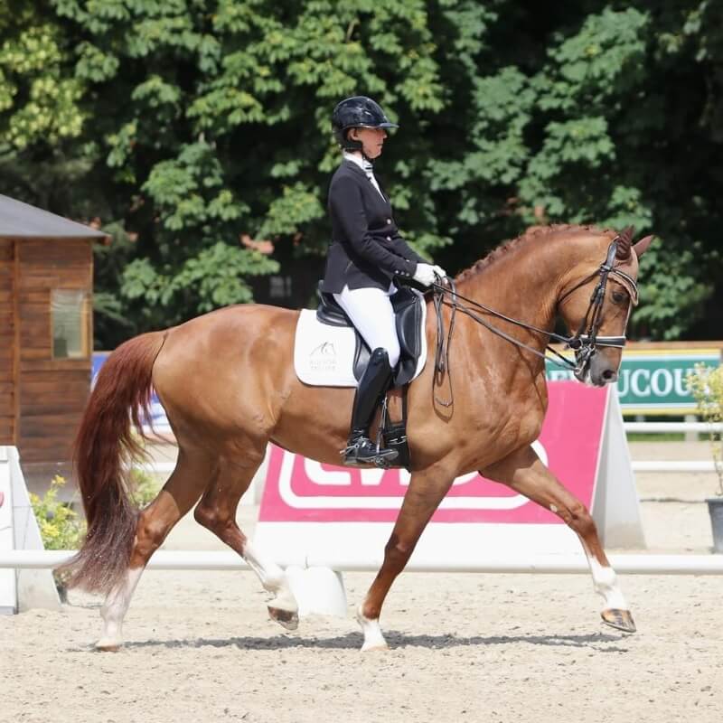 Conseil de Juge n°60 : Notes d'ensemble - La position