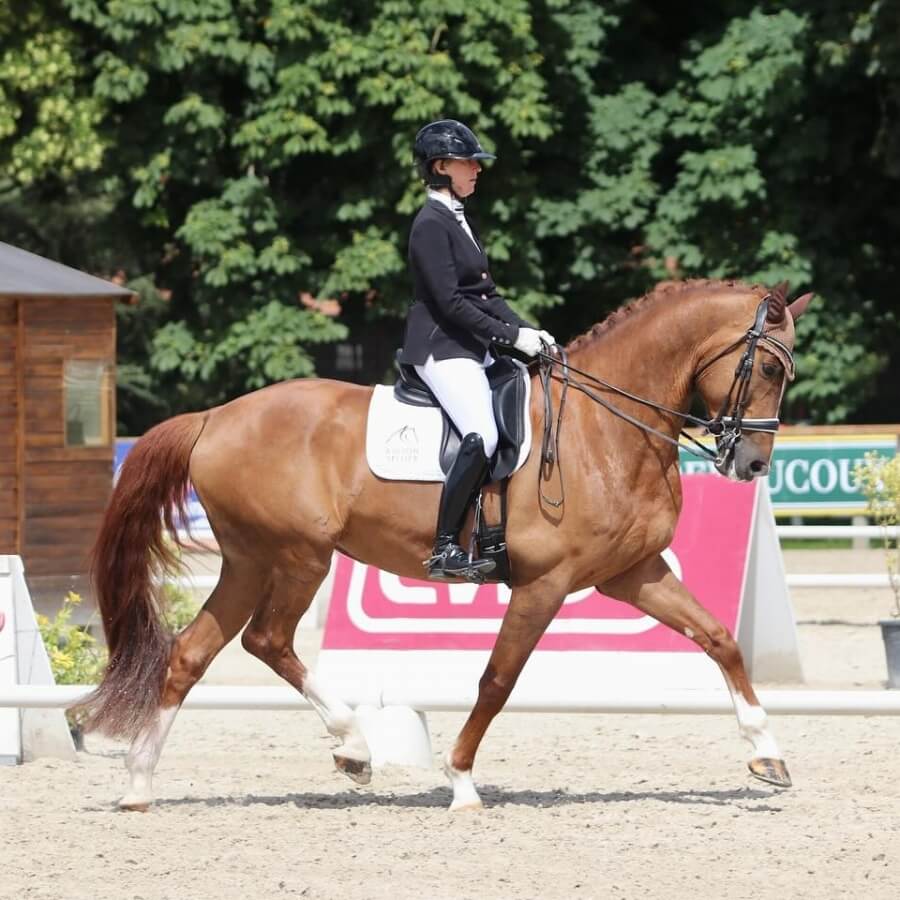 Conseil de Juge n°60 : Notes d'ensemble - La position