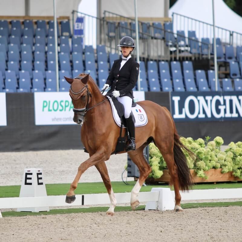 Conseil de Juge n°62 : Etre à la lettre