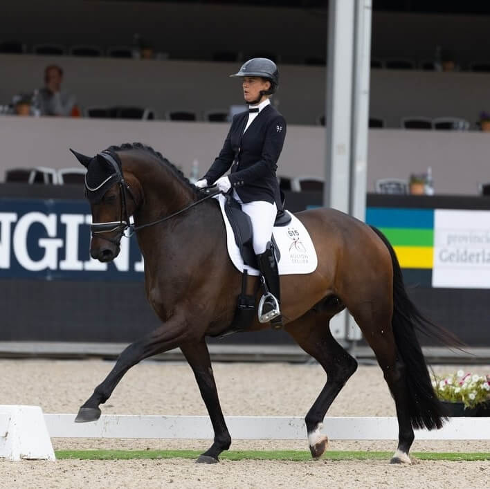 Technique Dressage : La qualité du contact