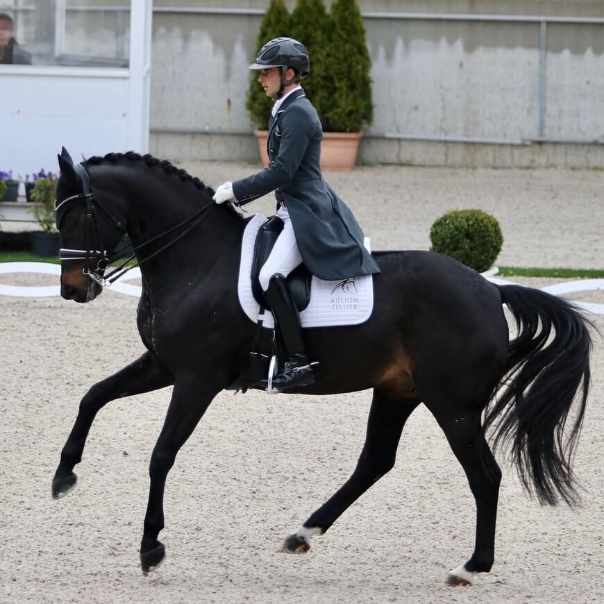 Technique Dressage : Le changement de pied