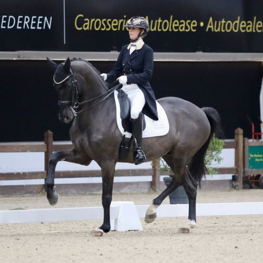 Technique Dressage : Le passage, méthode et analyse