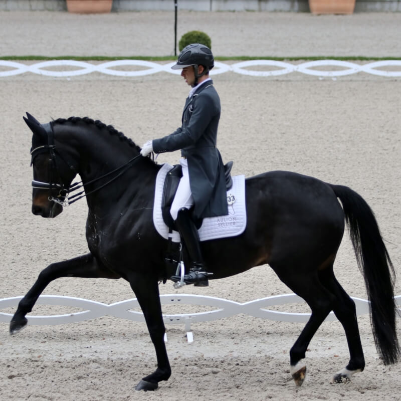 Gotilas et Higgins dans le TOP 10 du CDI4* Aix-la-Chapelle