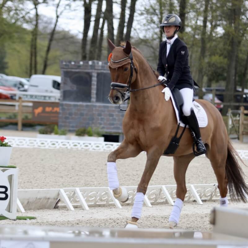 TIgrou remporte le CDIYH du Mans avec 86%