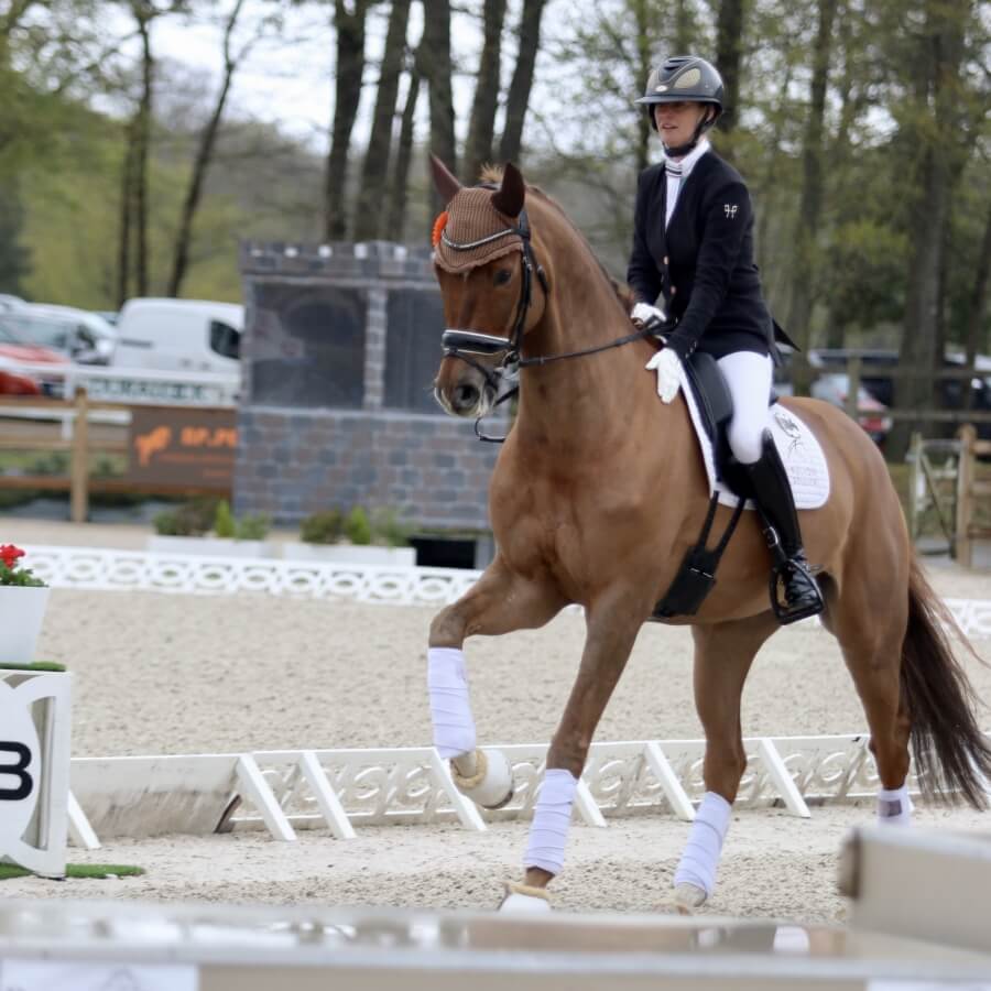 TIgrou remporte le CDIYH du Mans avec 86%