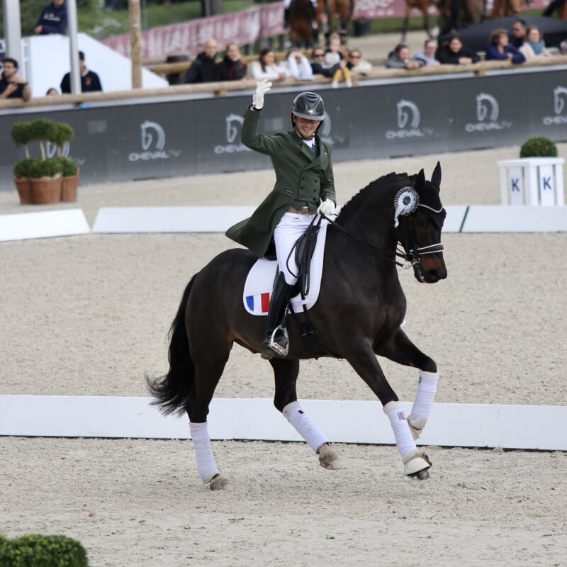 Corentin et Gotilas 77,5% au CDI5* Fontainebleau