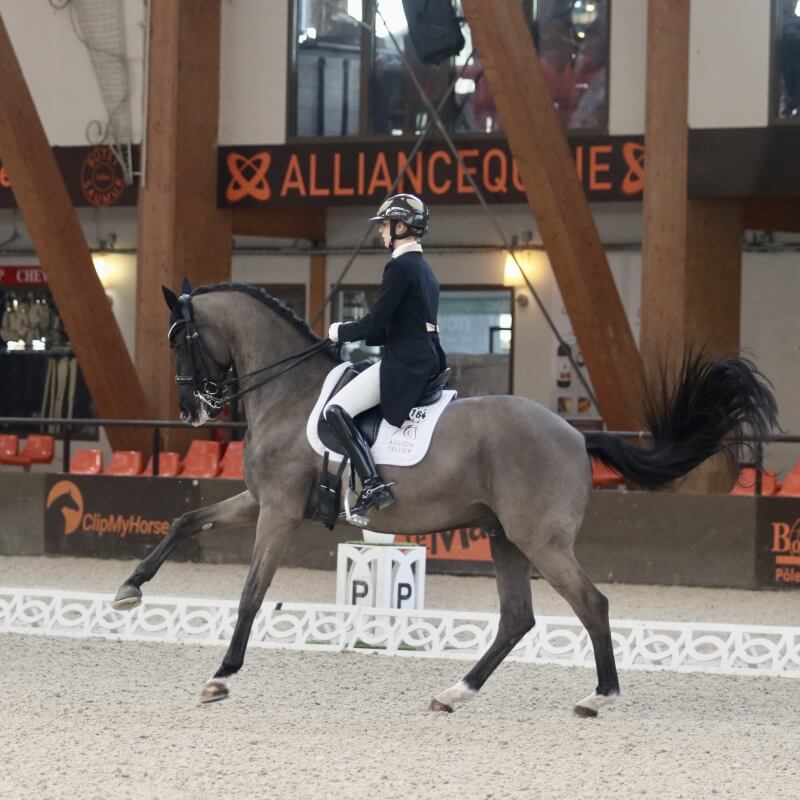 Technique Dressage : The flying change
