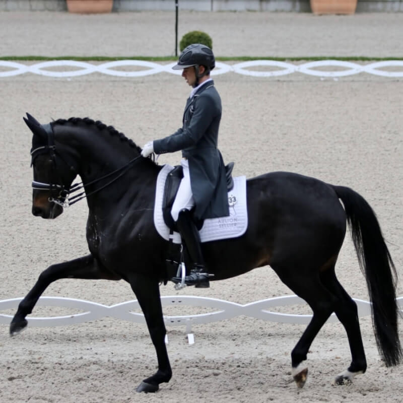 Gotilas and Higgins in the top 10 at CDI4* Aix-la-Chapelle