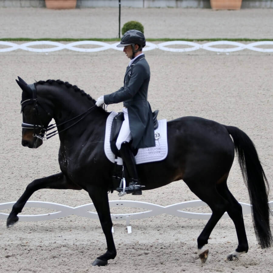 Gotilas and Higgins in the top 10 at CDI4* Aix-la-Chapelle