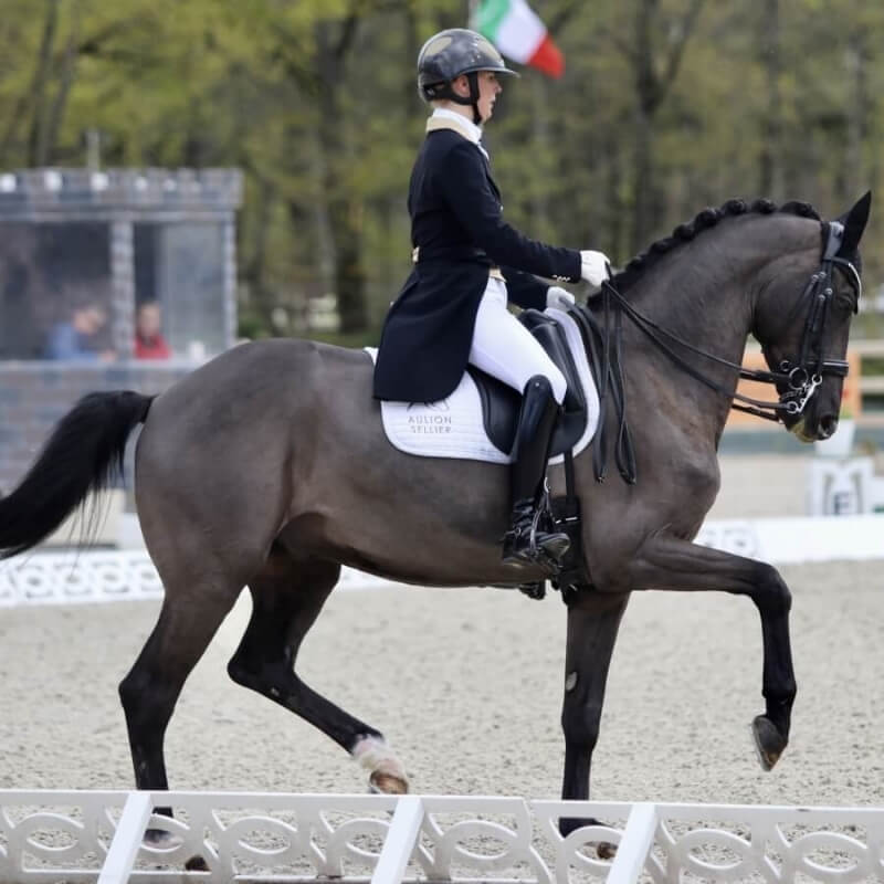Higgins places second in CDI4* at Le Mans