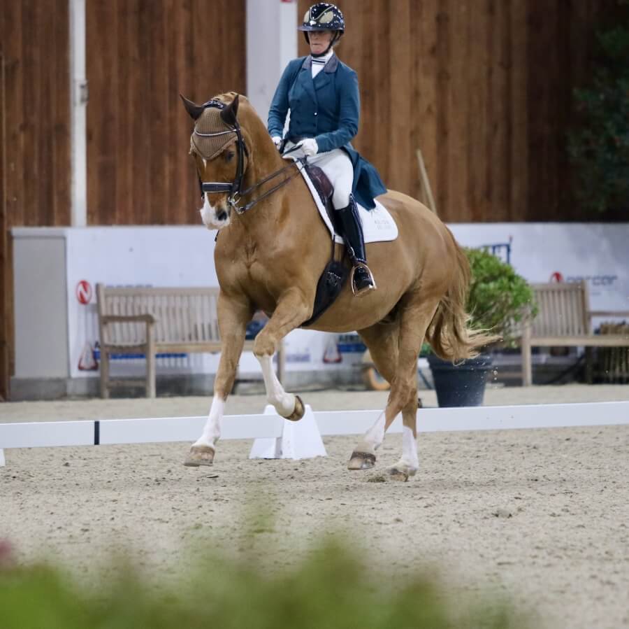 Technique Dressage : Improving the canter