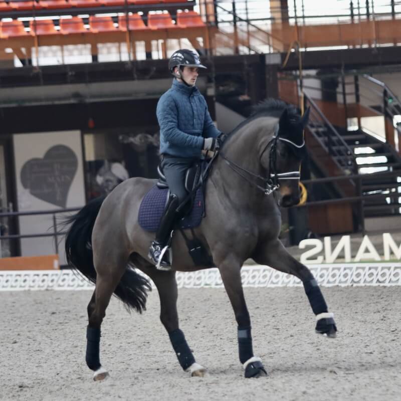 Technique dressage : The counter canter