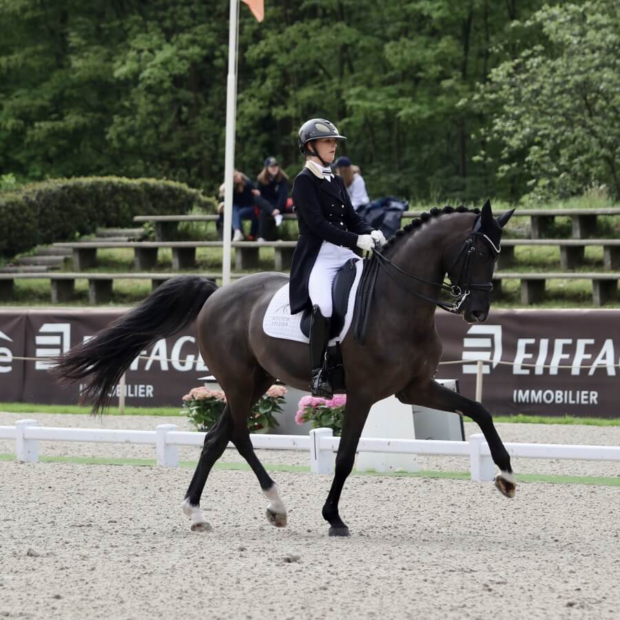 Gotilas et Higgins performants au CDI Compiègne