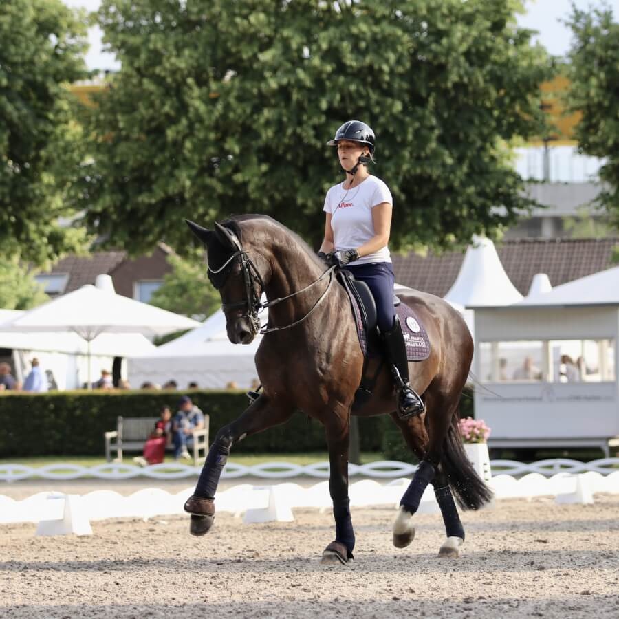 Technique Dressage : Handle the double bridle with precision
