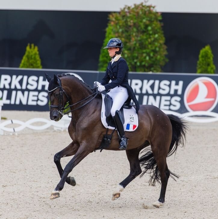 Camille and Corentin at CHIO Aachen