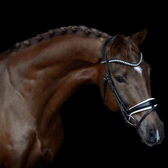 Fétiche de Hus winner of the CDIYH of Jardy