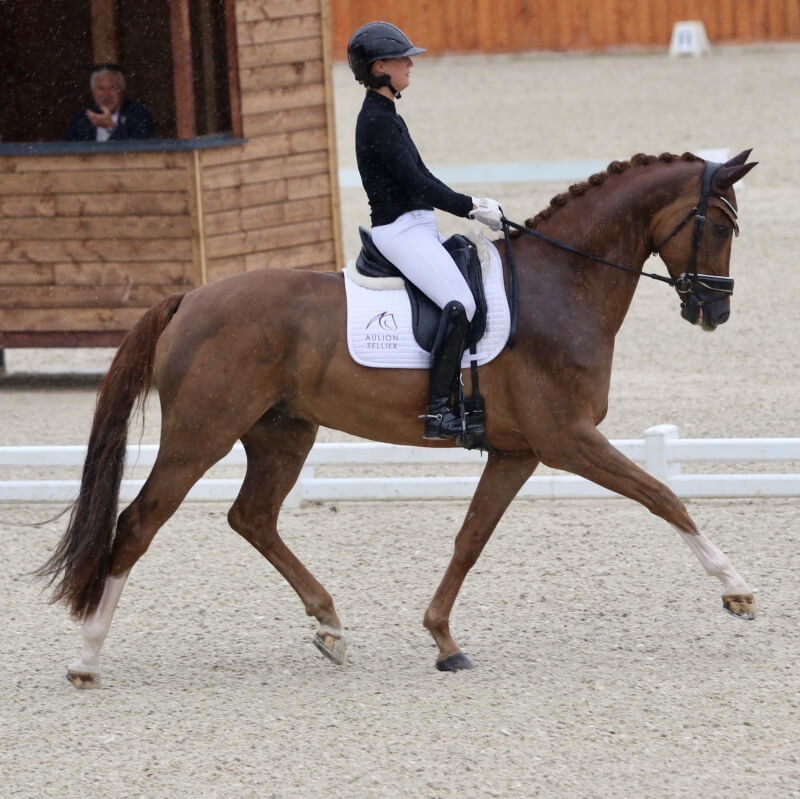 Fétiche de Hus sélectionné pour les Championnats du Monde