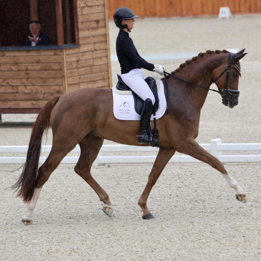 Fétiche de Hus sélectionné pour les Championnats du Monde