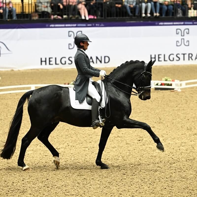 Corentin and Gotilas TOP 10 at World Cup Herning