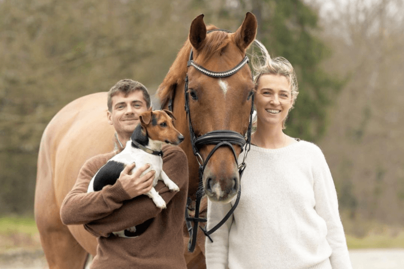 5 erreurs à éviter lors de l'achat d'un cheval