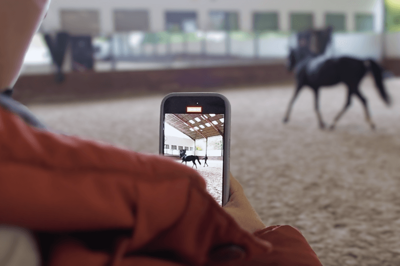 Buying a horse sight unseen? Here’s what you MUST ask! 🐴