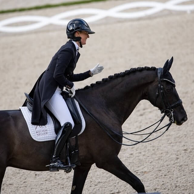 Conseil de Juge n°25 : Les éperons à poney