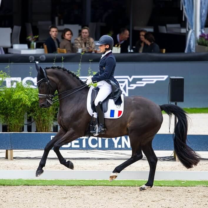 Conseil de Juge n°26 : Filet ou bride