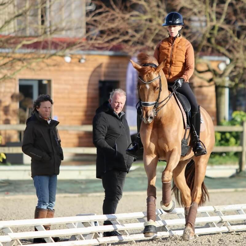 Conseil de Juge n°27 : La relation juge/entraineur