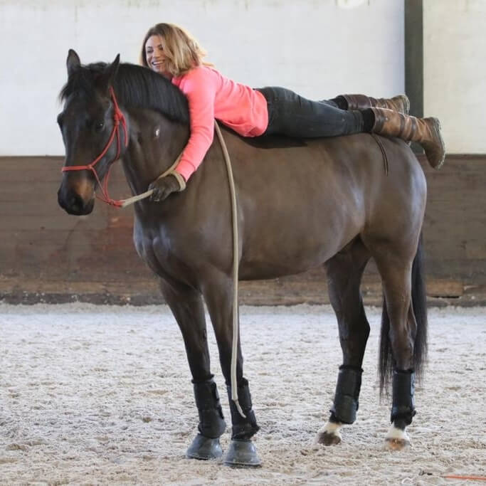 Conseil de Juge n°32 : avec ou sans mors ?