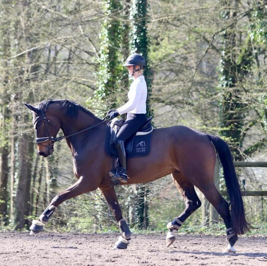 Conseil de Juge n°34 : Contact versus légèreté