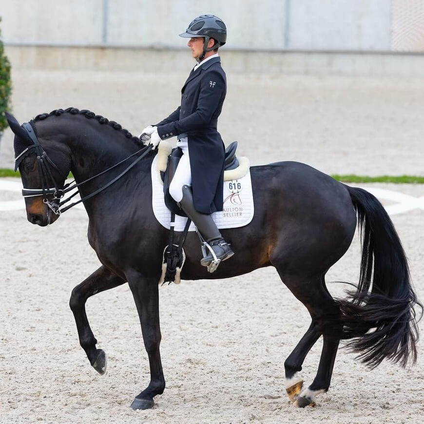 Conseil de Juge n°39 : La préparation du piaffer