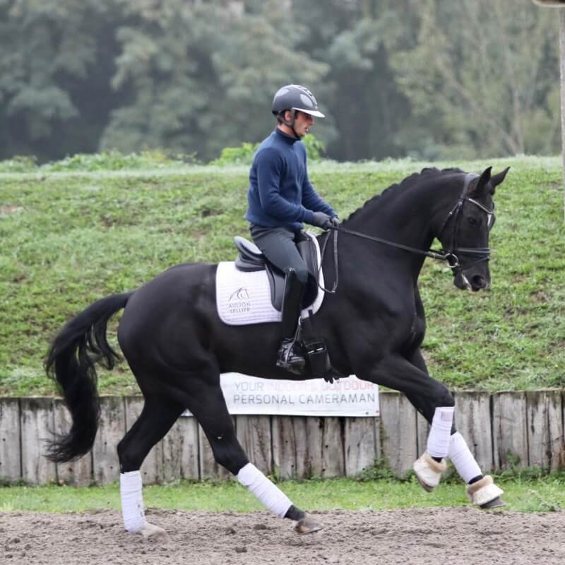 Conseil de Juge n°40 : Transition galop pas