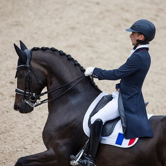 Conseil de Juge n°41 : Inaugurer la bride