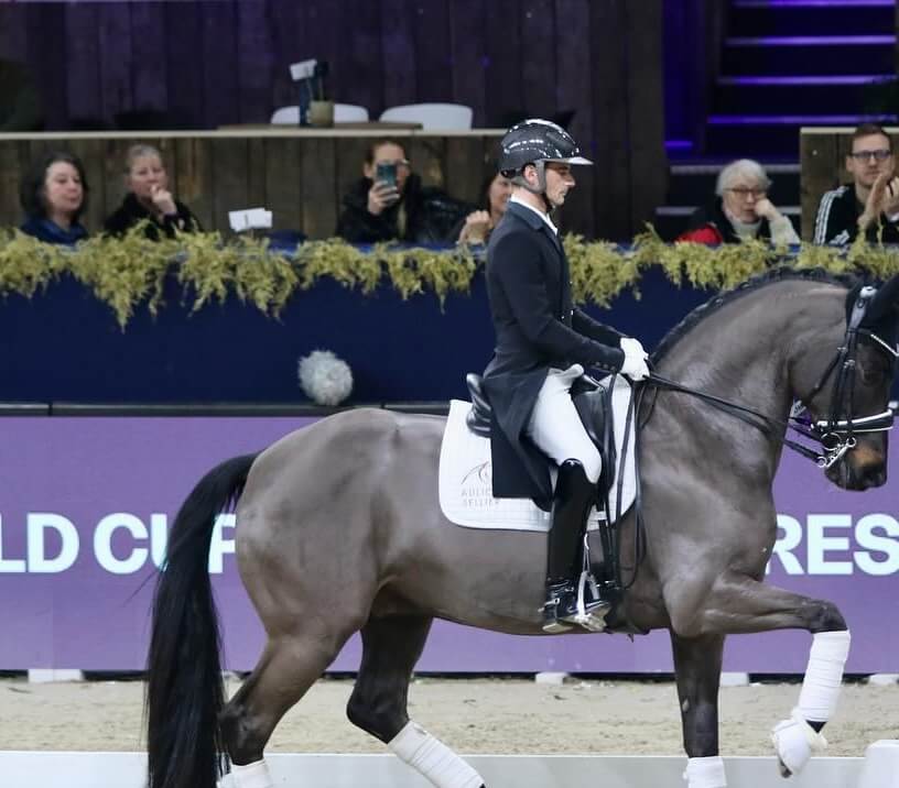 Conseil de Juge n°42 : Le trot rassemblé