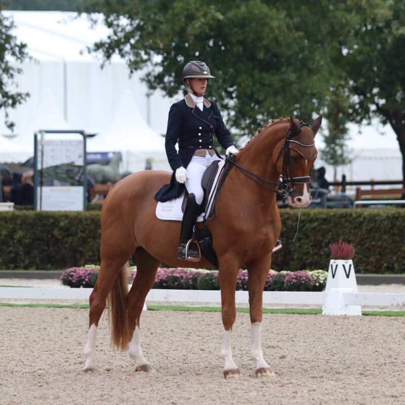 Conseil de Juge n°44 : L'entrée