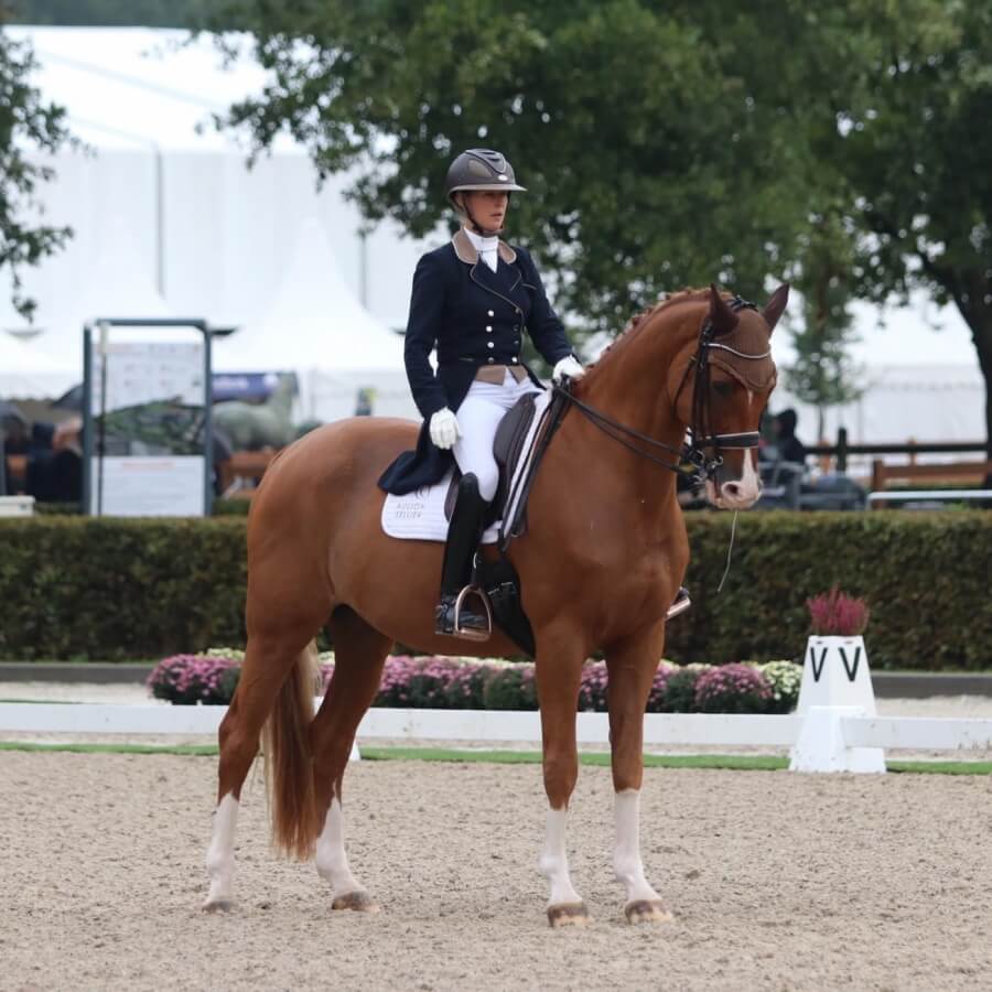 Conseil de Juge n°44 : L'entrée