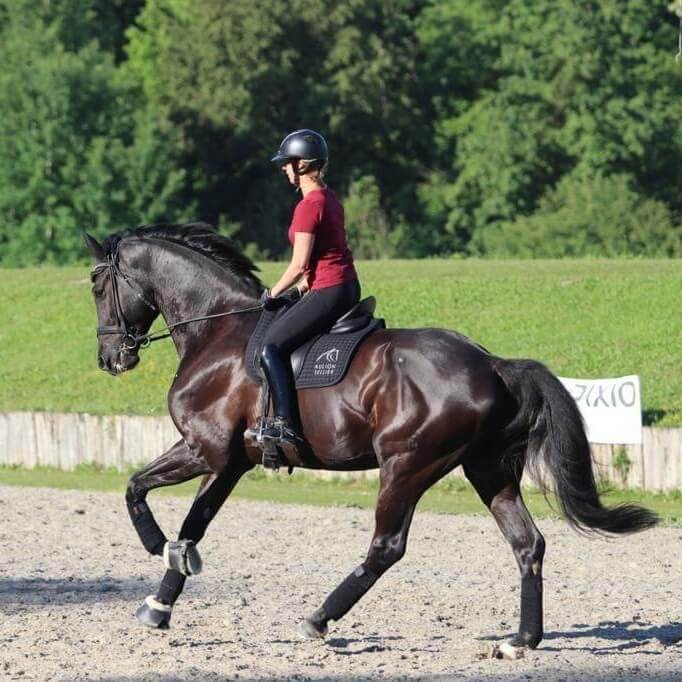 Conseil de Juge n°45 : Les transitions