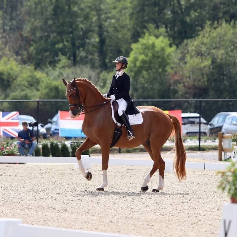 Conseil de Juge n°47 : Piaffer & passage