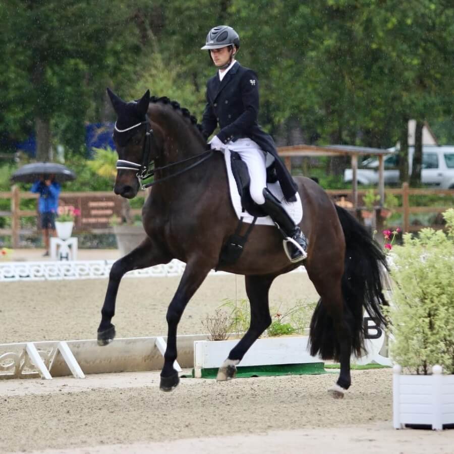 Conseil de Juge n°51 : Zig zag