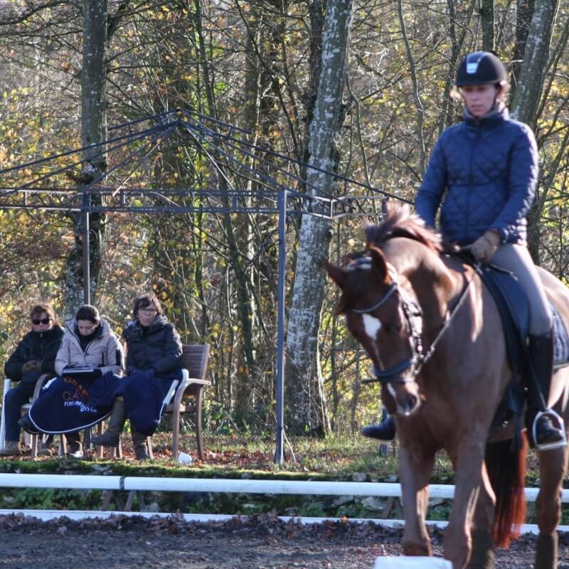 Conseil de Juge n°53 : Concours d'entrainement