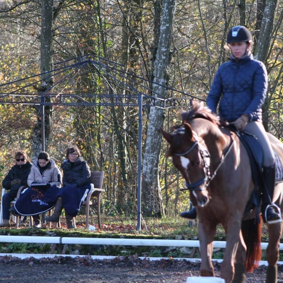 Conseil de Juge n°53 : Concours d'entrainement