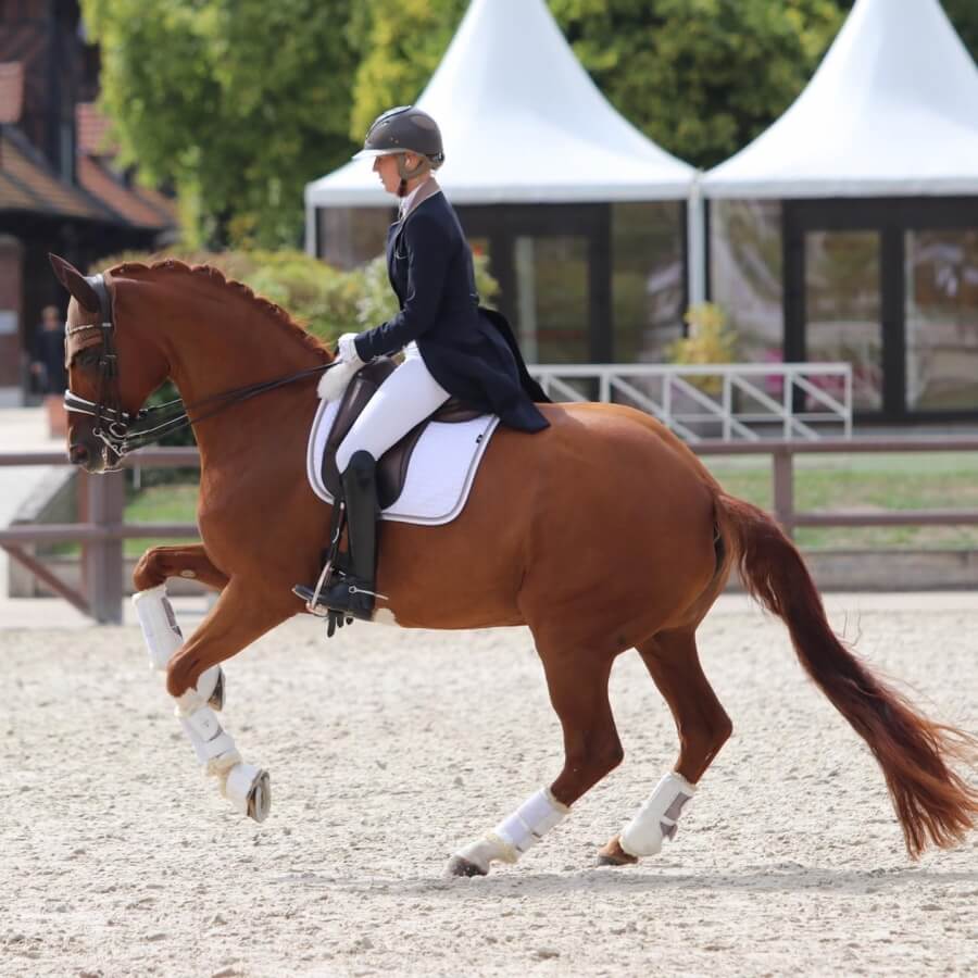 Conseil de Juge n°56 : La pirouette au galop