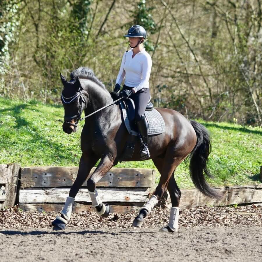 Conseil de Juge n°57 : Notes d'ensemble -  Les allures