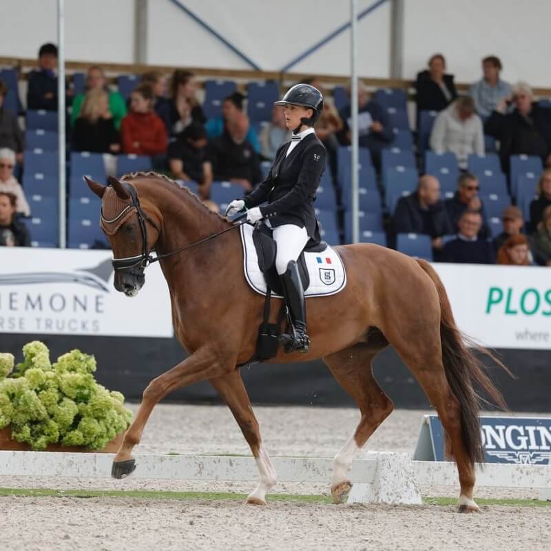 Conseil de Juge n°59 : Notes d'ensemble - Soumission